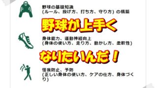 【横浜】少年野球は良い環境と指導が大切！目指せ甲子園‼ 